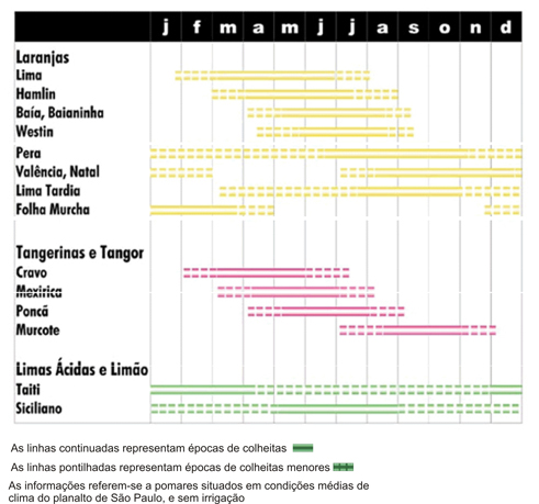 mudas.jpg (109510 bytes)